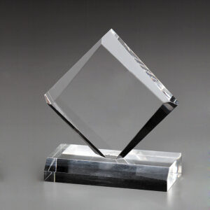 Diamond Award<br />Grösse L<br />pro Stück CHF  35.20