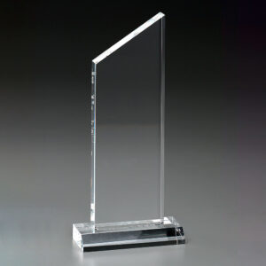 Peak Award<br />Grösse L<br />pro Stück CHF  29.15