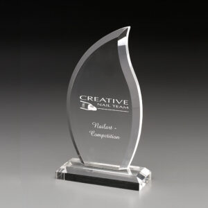 Flame Award<br />Grösse L<br />pro Stück CHF  45.10