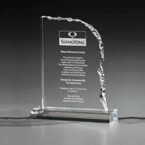 Cracked Edge Award<br />Grösse L<br />pro Stück CHF  45.40