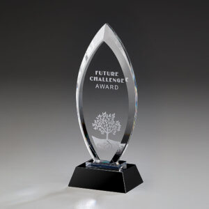 Majestic Award<br />pro Stück CHF  113.55